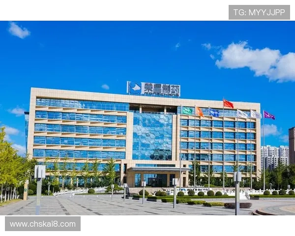 凯发天生赢家一触即发手机登录带你轻松开启博彩新体验