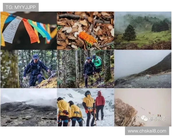 深入了解k8集团官网的企业发展战略与未来规划为玩家提供全面信息 深入了解k8集团官网的企业发展战略与未来规划为玩家提供全面信息